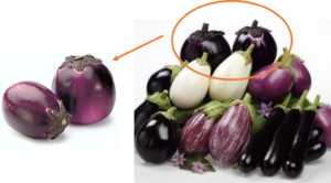 Aubergines siciliennes