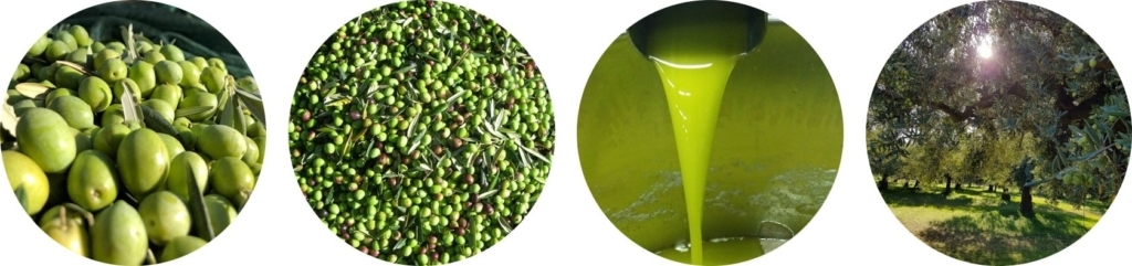 huile olive sicile Nocellara del Belice, Biancolilla et Cerasuola