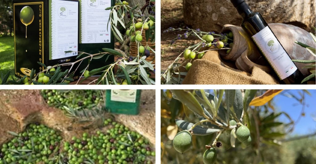 Le Antiche Macine propose une gamme d'huiles d'olive extra vierges réputées pour leur pureté et leur richesse aromatique.