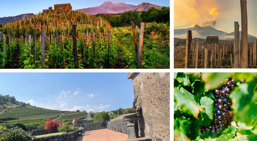 Pour les voyageurs qui souhaitent découvrir l’Etna à travers son histoire, ses paysages et ses vins, une visite chez Benanti est un arrêt incontournable