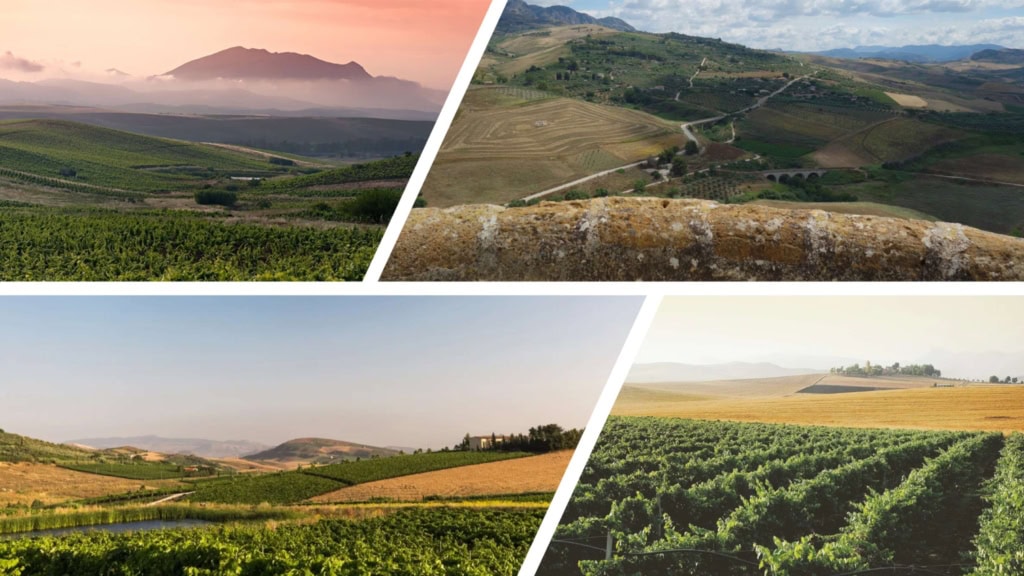Vignobles nord-ouest Sicile Mon Amour